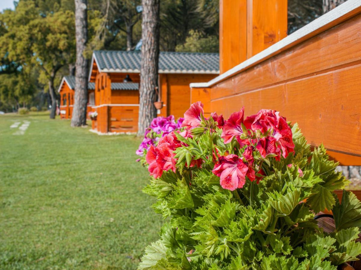 Chalet Do Lago Montargil Exterior photo